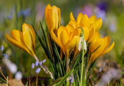 Workshop für Frauen: Stress – was er für uns bedeutet & wie wir wieder in Balance gelangen