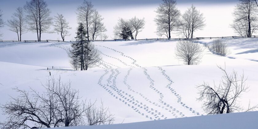 Kursangebot: Geteilte Elternschaft am 28.2. und 1.3.2026 in der Volkshochschule Mitte